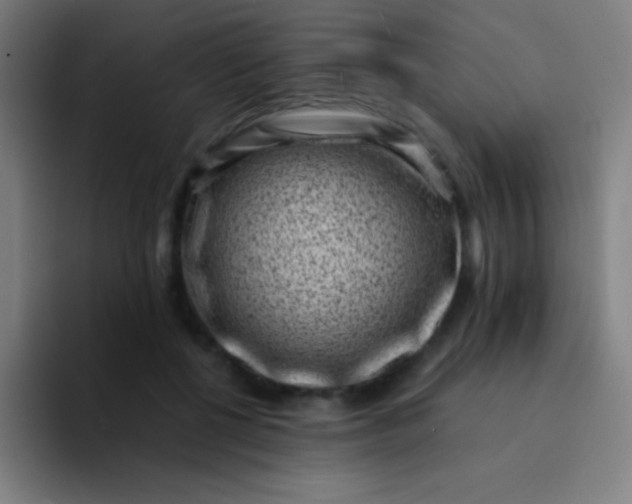 X0000094340552200711162012