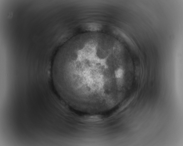 X0000094340553200711162012