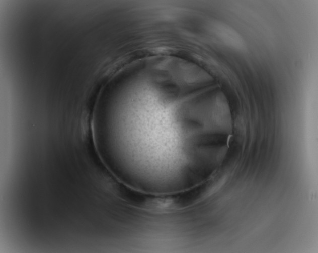 X0000094340554200711162012