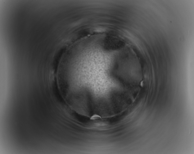 X0000094340555200711162012