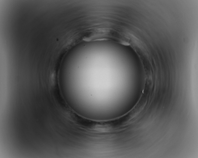 X0000094340556200711162012