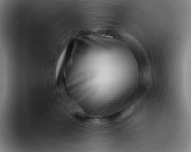 X0000094340558200711162012