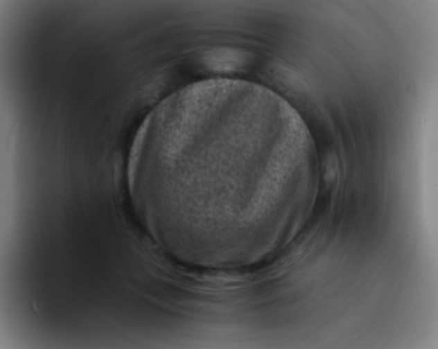 X0000094340559200711162012