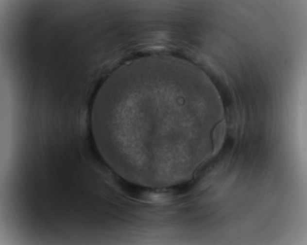 X0000094340563200711162012