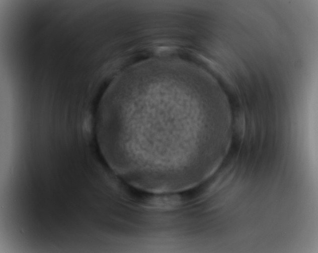 X0000094340571200711162012