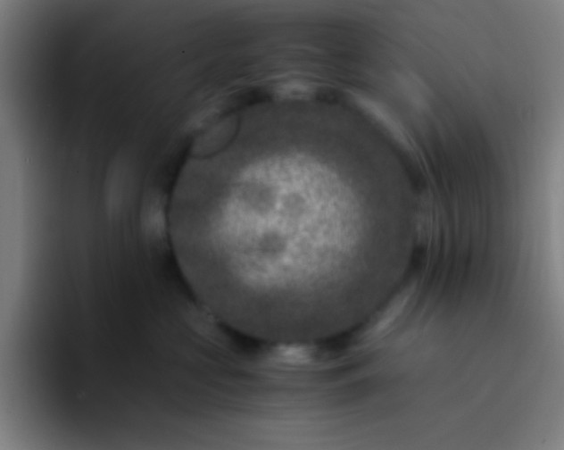 X0000094340573200711162012