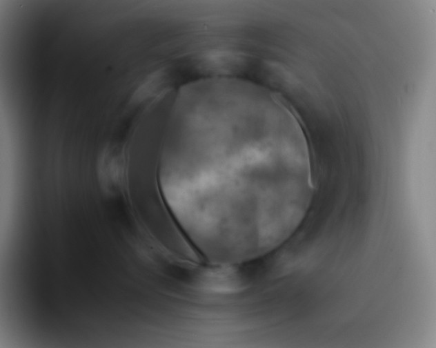 X0000094340576200711162012