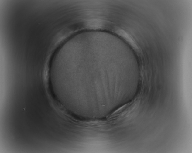 X0000094340583200711162011