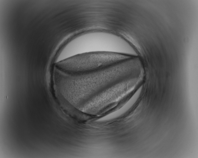 X0000094340584200711162011