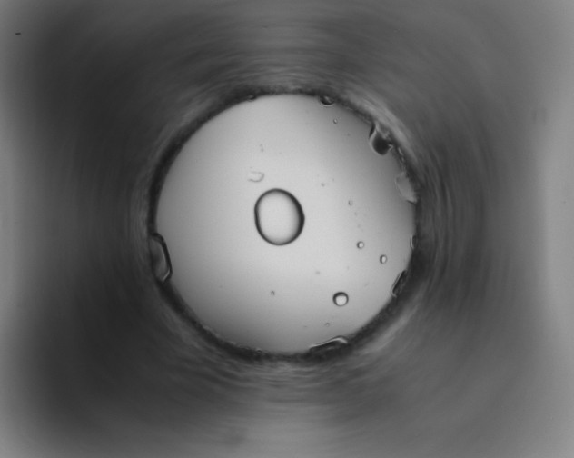 X0000094340585200711162011