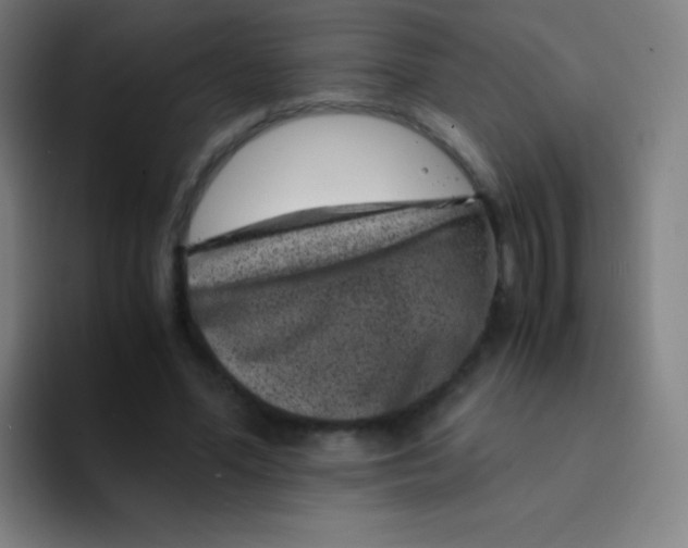 X0000094340588200711162011