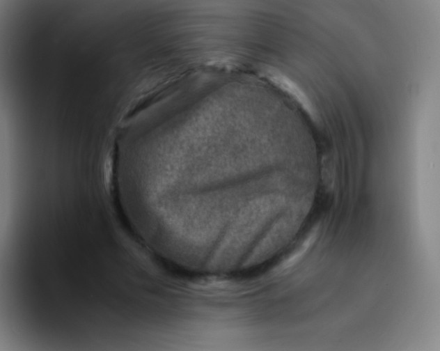 X0000094340589200711162011