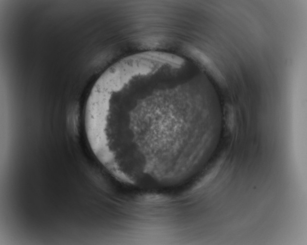 X0000094340590200711162011