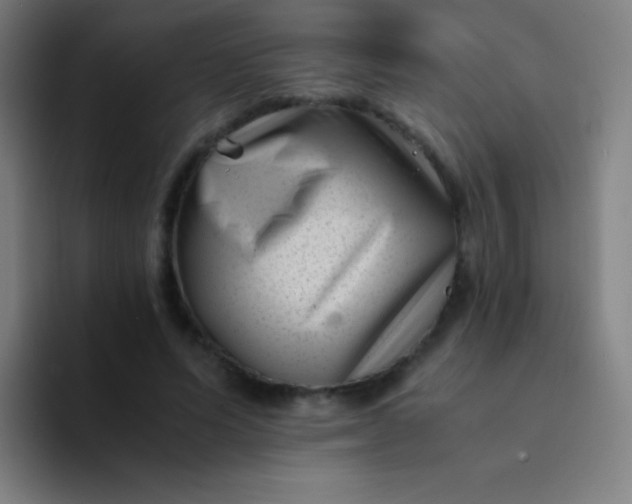 X0000094340591200711162011