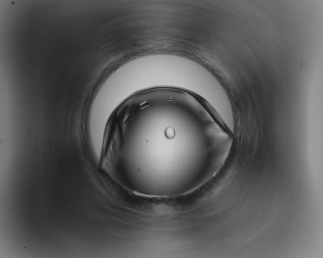 X0000094340592200711162011