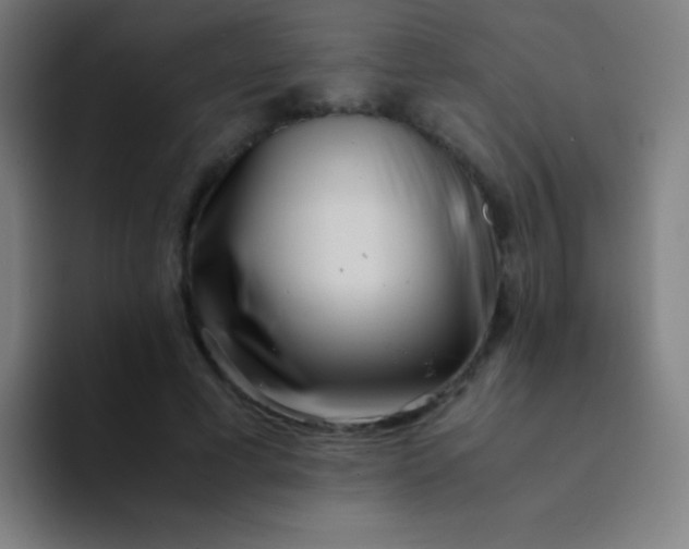 X0000094340593200711162011