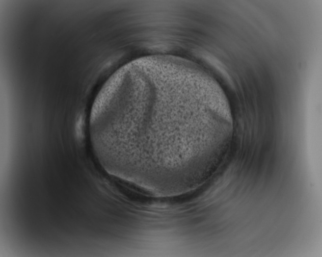 X0000094340596200711162011