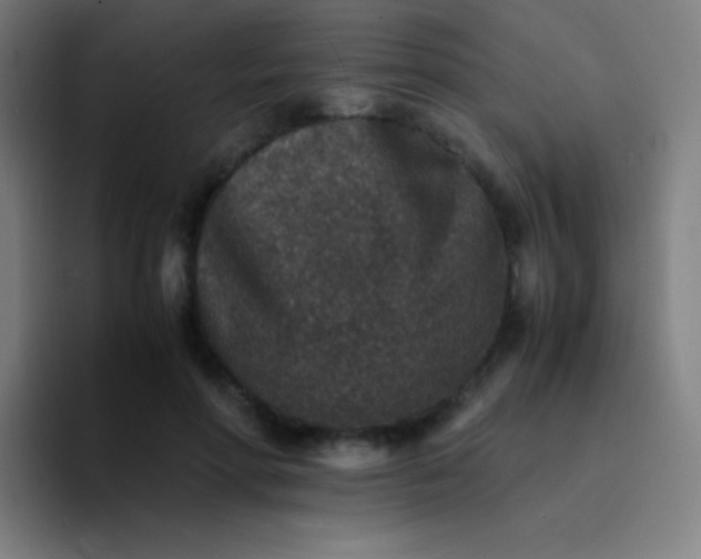 X0000094340598200711162011