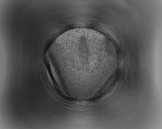 X0000094340599200711162011