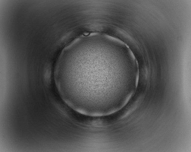 X0000094340600200711162011