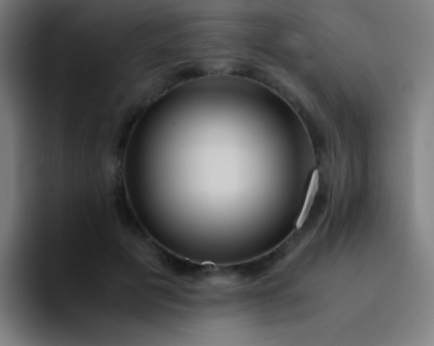 X0000094340601200711162011