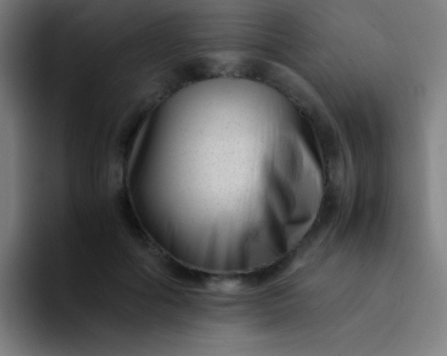 X0000094340602200711162011