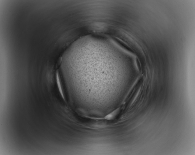 X0000094340604200711162011