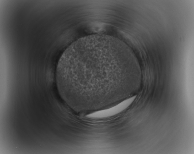 X0000094340606200711162011