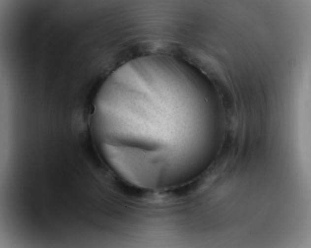 X0000094340607200711162011