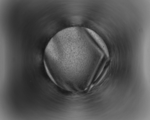 X0000094340608200711162011