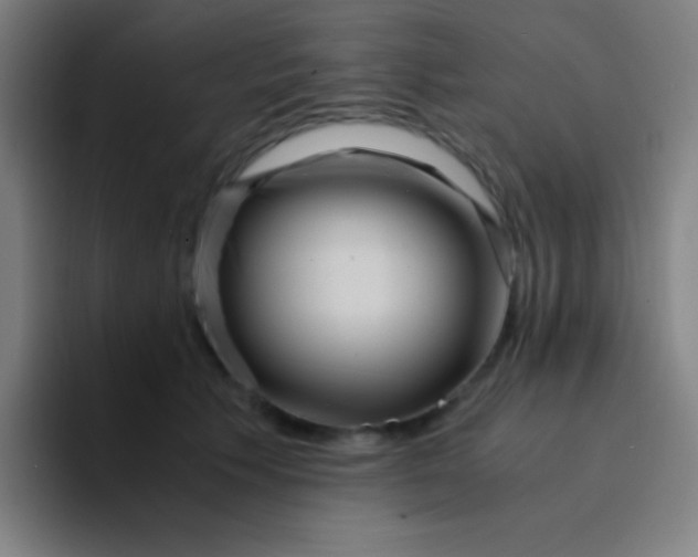 X0000094340609200711162011