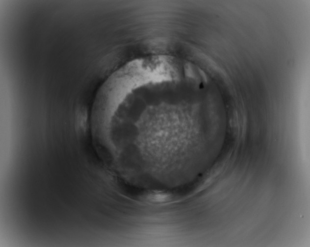 X0000094340610200711162011