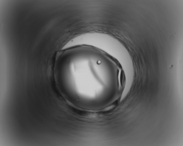 X0000094340611200711162011