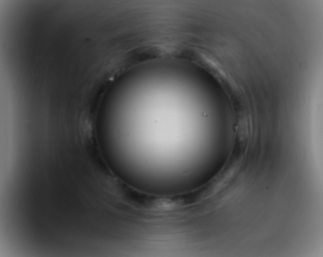 X0000094340613200711162011