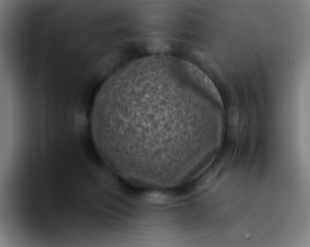 X0000094340614200711162011