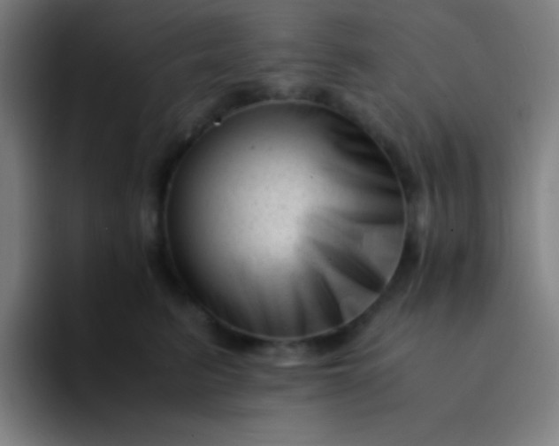 X0000094340615200711162011