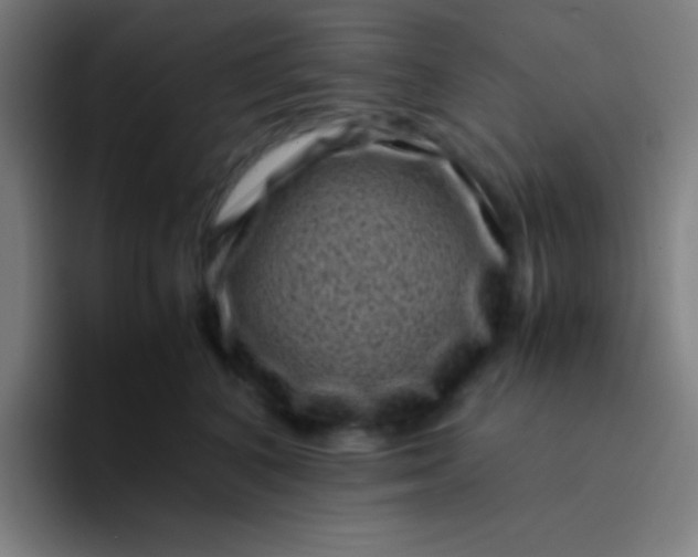 X0000094340616200711162011