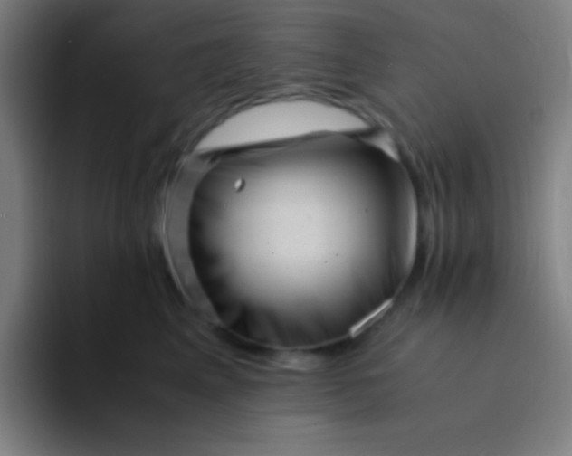 X0000094340617200711162011