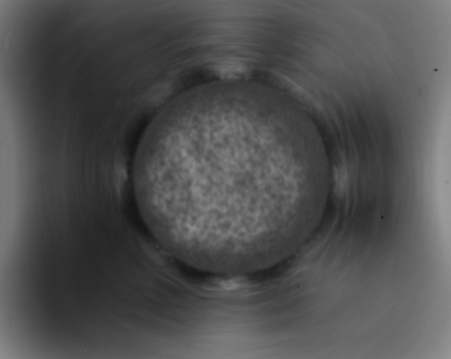 X0000094340618200711162011