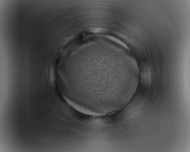 X0000094340620200711162011