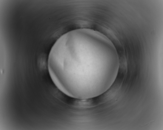 X0000094340622200711162011