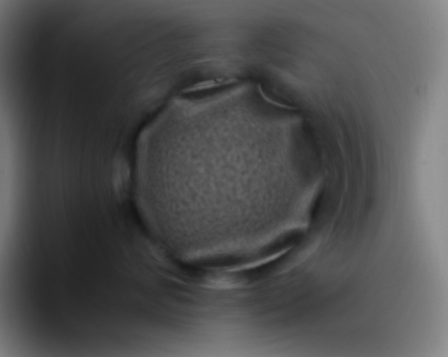 X0000094340624200711162011