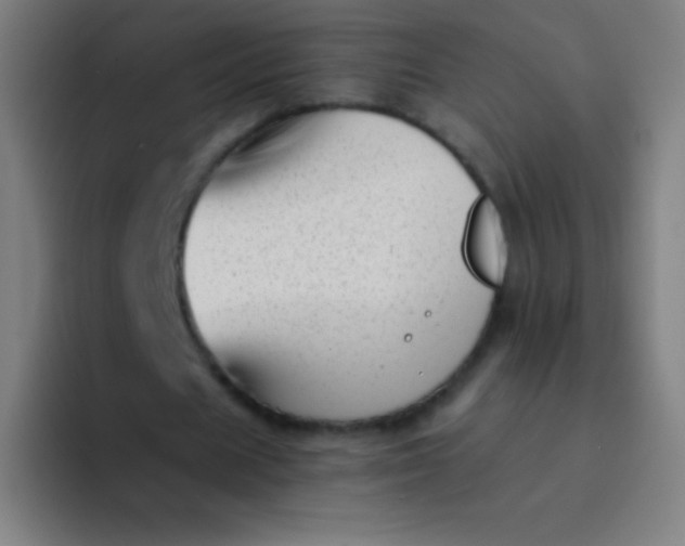 X0000094340625200711162010