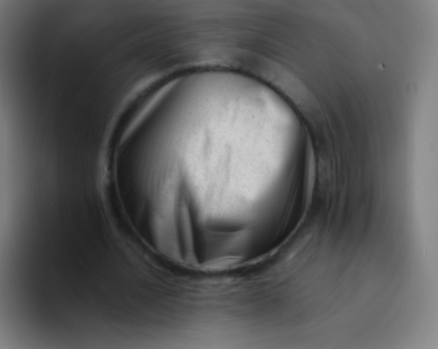 X0000094340628200711162010