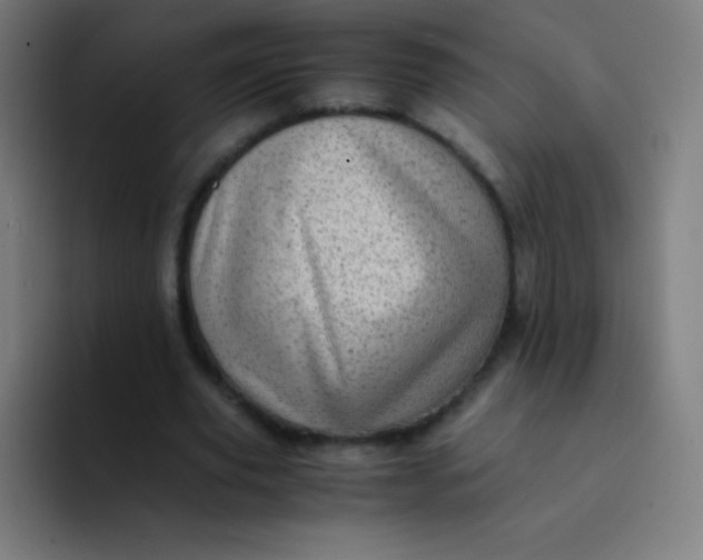 X0000094340629200711162010