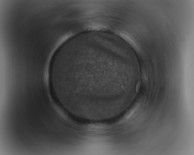 X0000094340630200711162010