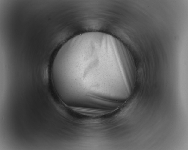 X0000094340638200711162010