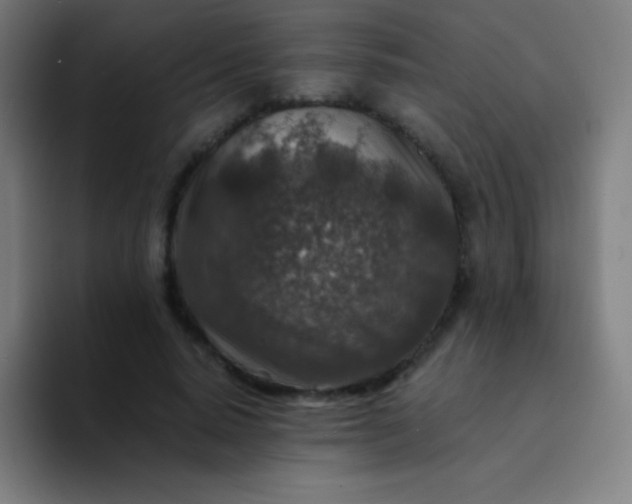 X0000094340640200711162010