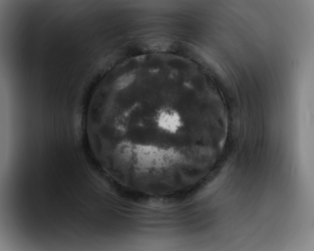 X0000094340641200711162010