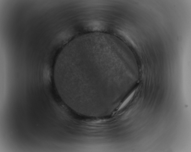 X0000094340643200711162011